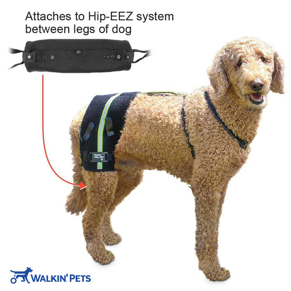 Walkin'® Hip-EEZ Cross Assist Attachment
