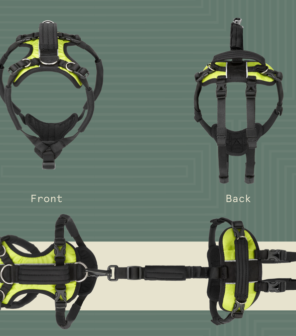 Help 'Em Up Front and Rear Conventional Shape Harness (unisex)