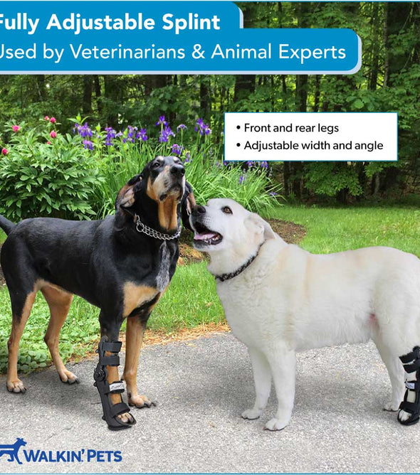 Leg braces and splints