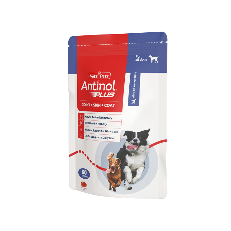 Antinol Plus Capsules