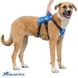 Buddy Up Harness - Front