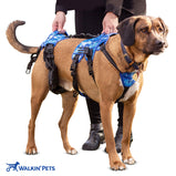 Buddy Up Harness - Front