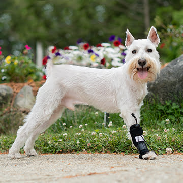 No-Knuckling Training Sock - Front