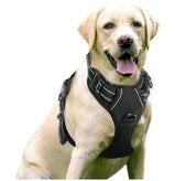  Ergonomic Harness