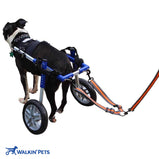 Walkin Wheelchair Leash