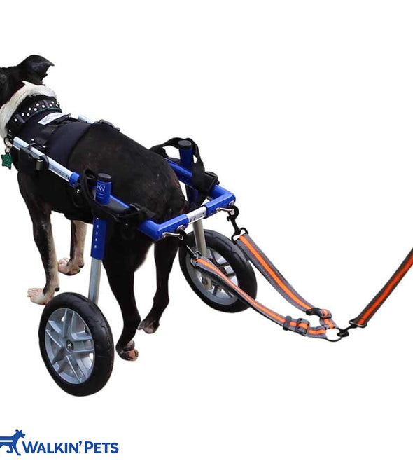 Walkin Wheelchair Leash