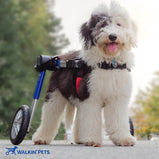 Walkin’® Wheels Medium Wheelchair