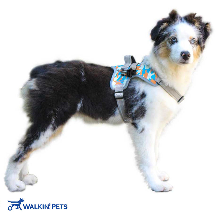 Walkin’® Warrior Front Harness Blue Orange Camo