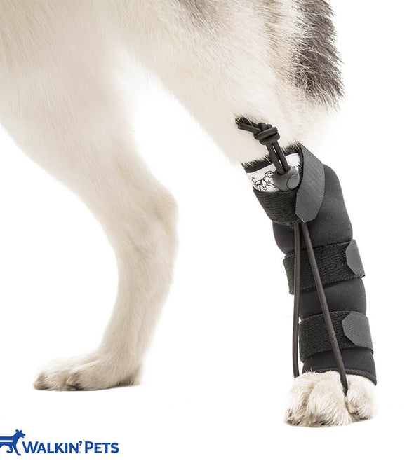 No-Knuckling Training Sock - Rear