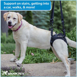 Walkin’® Lift Rear Harness