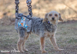 Walkin’® Warrior Rear Harness Blue Orange Camo