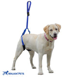 Walkin’® Up-n-Go Leash