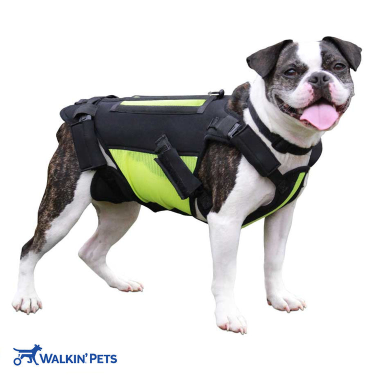 Walkin’® vertebraVe - back/spine support system for pets