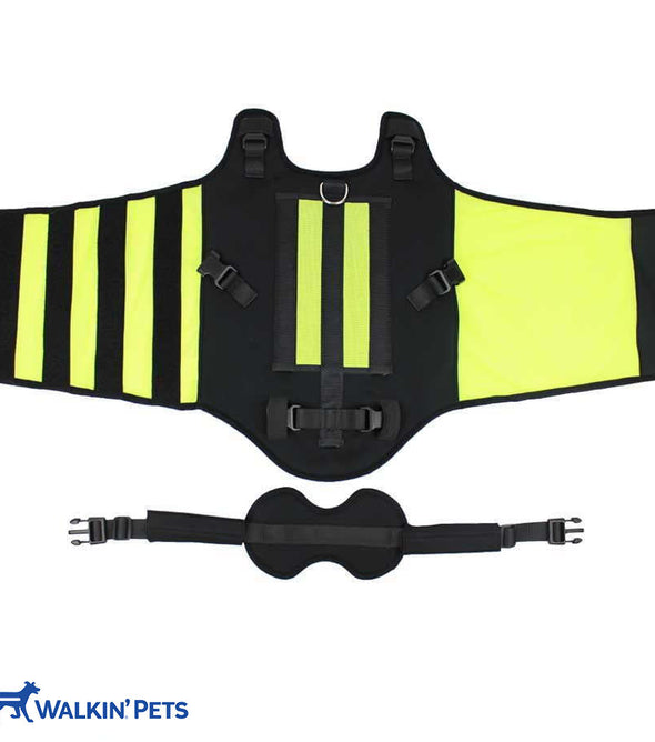 Walkin’® vertebraVe - back/spine support system for pets