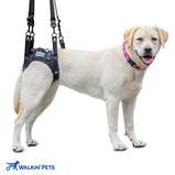 Walkin’® Lift Rear Harness