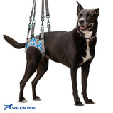 Walkin’® Lift / Walkin Warrior Rear Harness