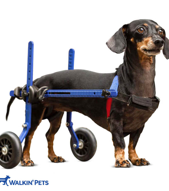 Walkin’® Wheels Mini Wheelchair