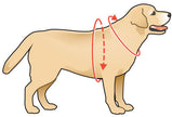Walkin Warrior Front Harness