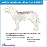 Walkin’® vertebraVe - back/spine support system for pets