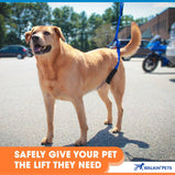 Walkin’® Up-n-Go Leash