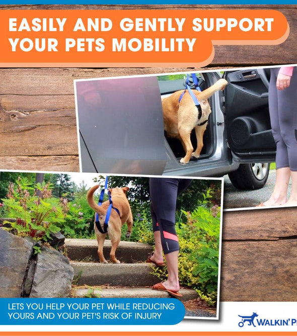 Walkin’® Up-n-Go Leash