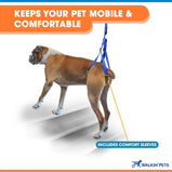 Walkin’® Up-n-Go Leash