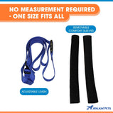 Walkin’® Up-n-Go Leash